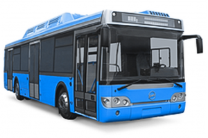 Автобусы